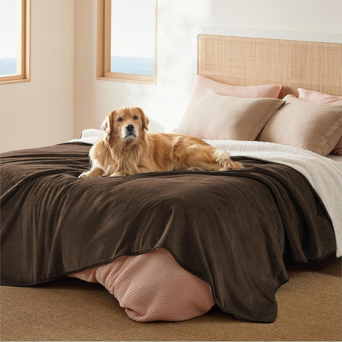 Waterproof Dog Blankets for Small Dogs Soft Cat Blanket Warm,25X35 | Washable Plush Sherpa Fleece Puppy Blanket for Couch Protector, Reversible Cozy Calming Throw for Pet Indoor,Grey