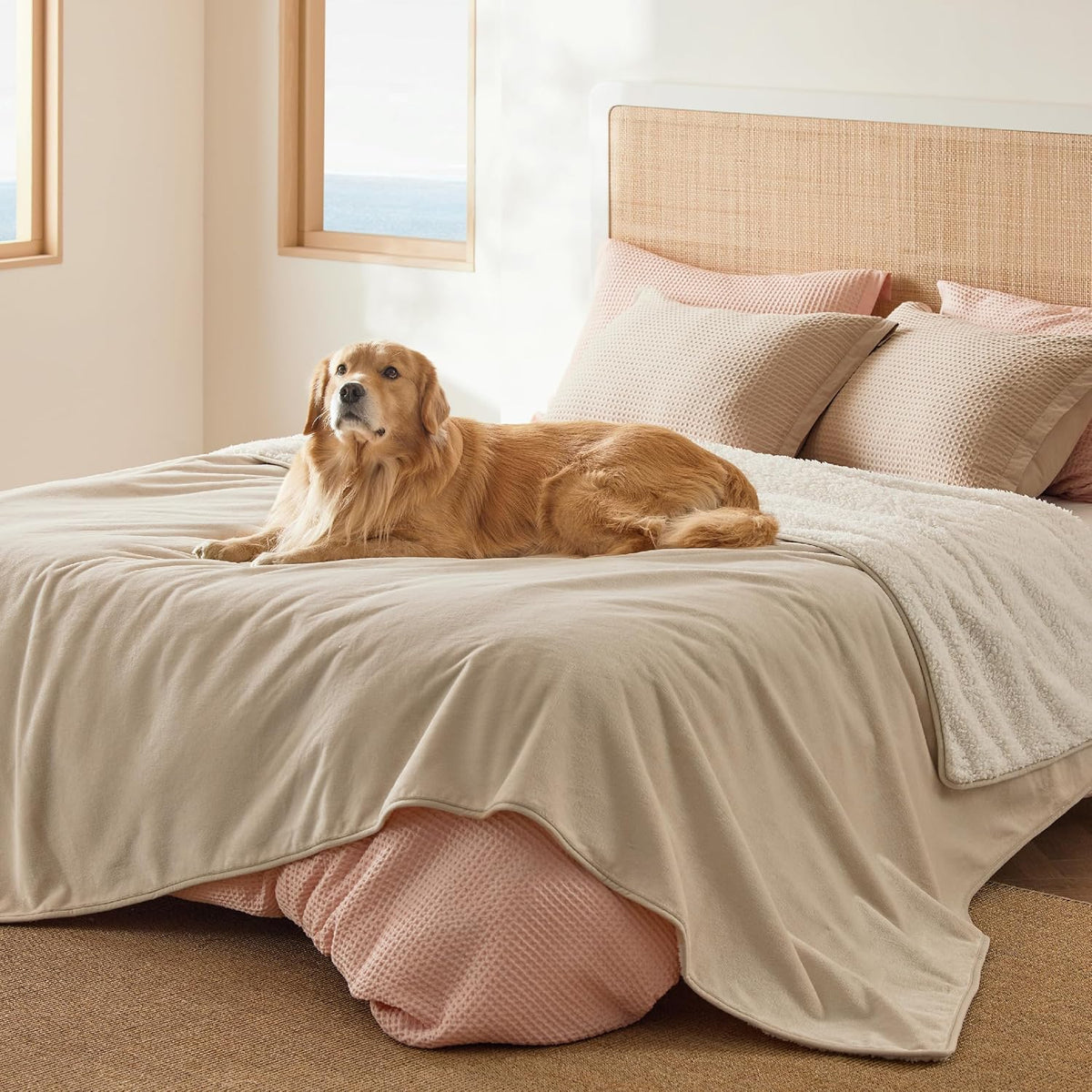 Waterproof Dog Blankets for Small Dogs Soft Cat Blanket Warm,25X35 | Washable Plush Sherpa Fleece Puppy Blanket for Couch Protector, Reversible Cozy Calming Throw for Pet Indoor,Grey