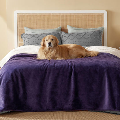 Waterproof Dog Blankets for Small Dogs Soft Cat Blanket Warm,25X35 | Washable Plush Sherpa Fleece Puppy Blanket for Couch Protector, Reversible Cozy Calming Throw for Pet Indoor,Grey