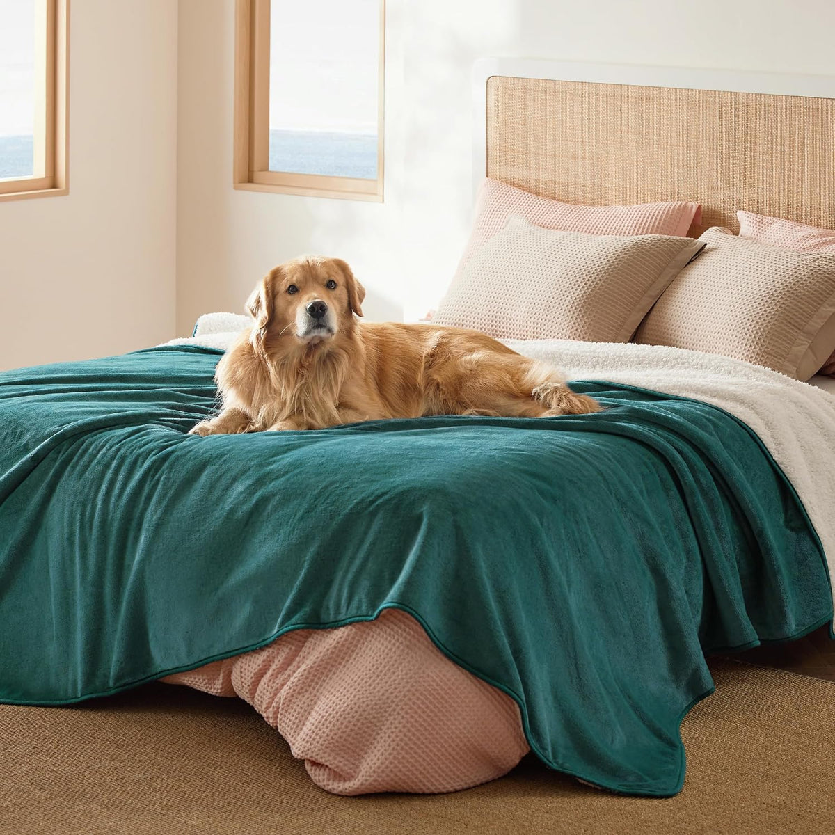 Waterproof Dog Blankets for Small Dogs Soft Cat Blanket Warm,25X35 | Washable Plush Sherpa Fleece Puppy Blanket for Couch Protector, Reversible Cozy Calming Throw for Pet Indoor,Grey
