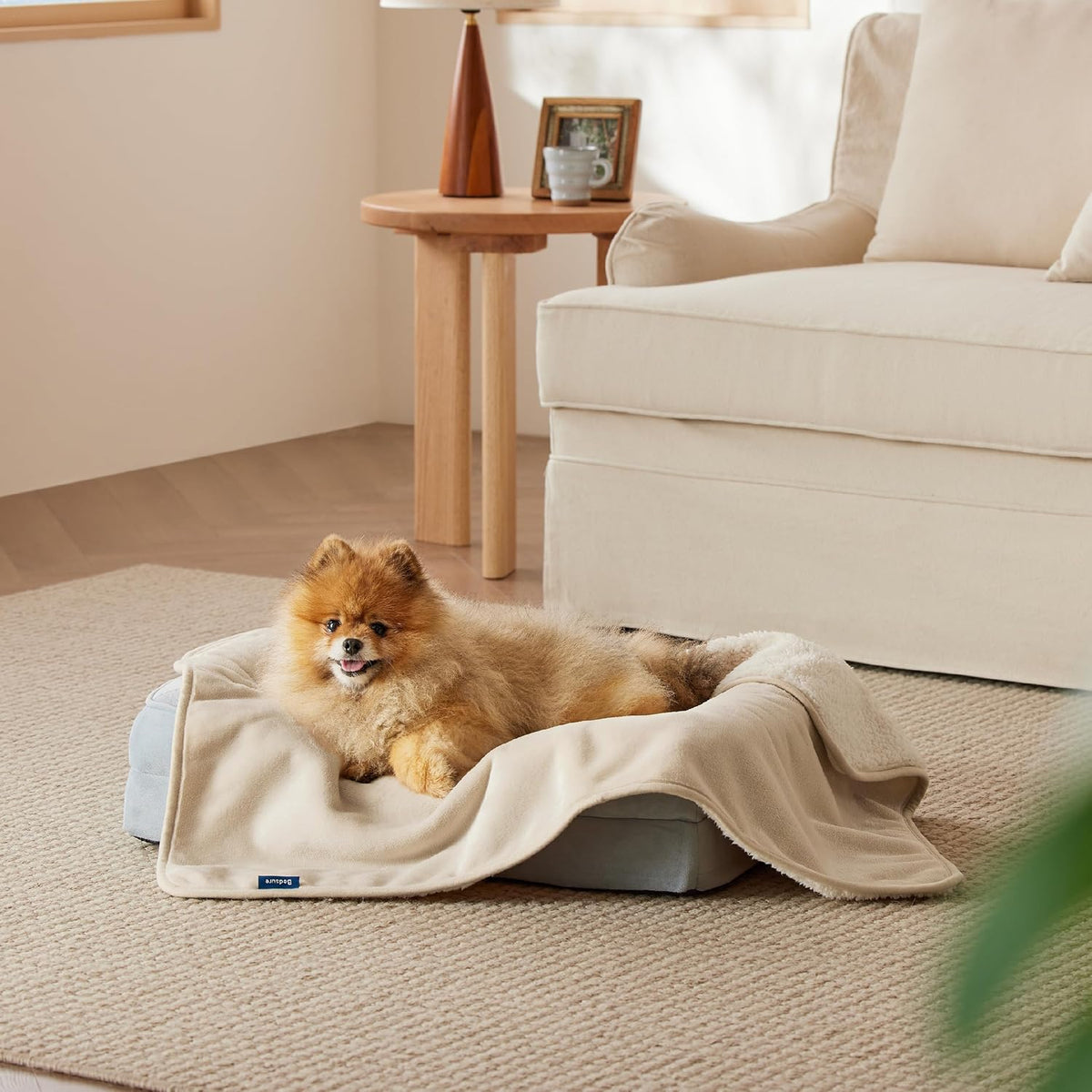 Waterproof Dog Blankets for Small Dogs Soft Cat Blanket Warm,25X35 | Washable Plush Sherpa Fleece Puppy Blanket for Couch Protector, Reversible Cozy Calming Throw for Pet Indoor,Grey