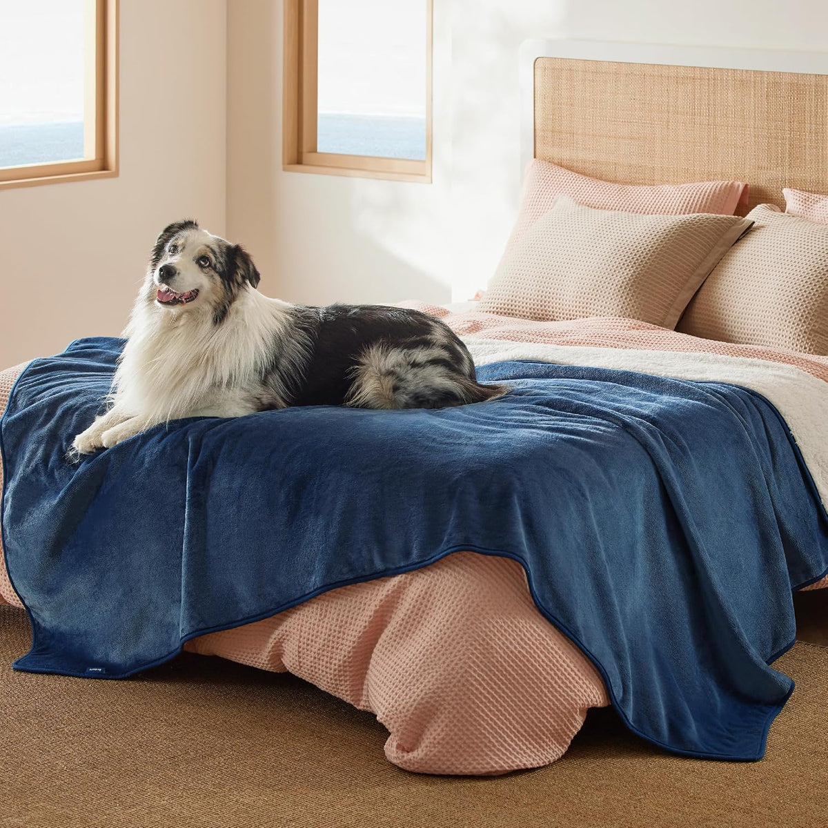 Waterproof Dog Blankets for Small Dogs Soft Cat Blanket Warm,25X35 | Washable Plush Sherpa Fleece Puppy Blanket for Couch Protector, Reversible Cozy Calming Throw for Pet Indoor,Grey