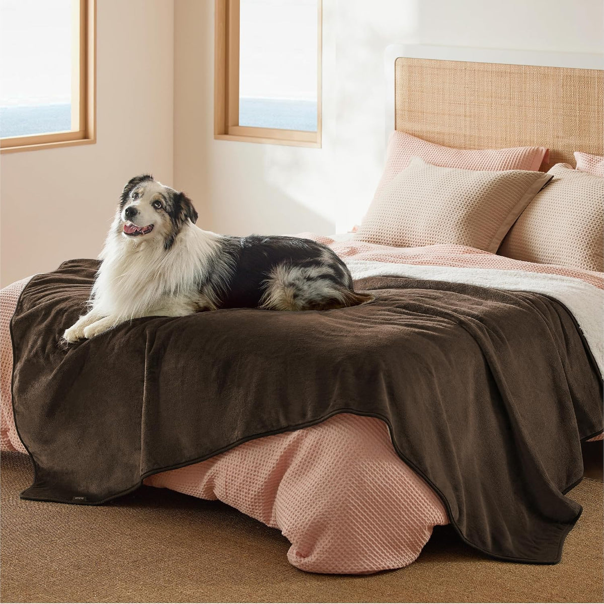 Waterproof Dog Blankets for Small Dogs Soft Cat Blanket Warm,25X35 | Washable Plush Sherpa Fleece Puppy Blanket for Couch Protector, Reversible Cozy Calming Throw for Pet Indoor,Grey