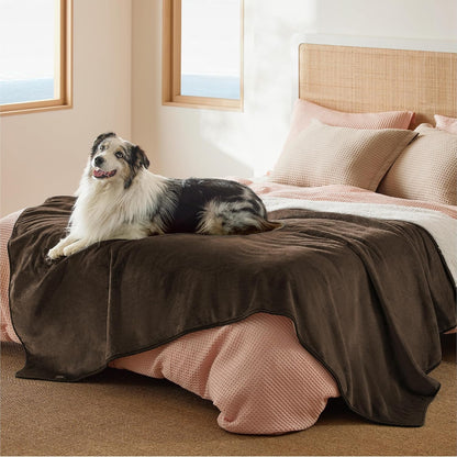 Waterproof Dog Blankets for Small Dogs Soft Cat Blanket Warm,25X35 | Washable Plush Sherpa Fleece Puppy Blanket for Couch Protector, Reversible Cozy Calming Throw for Pet Indoor,Grey