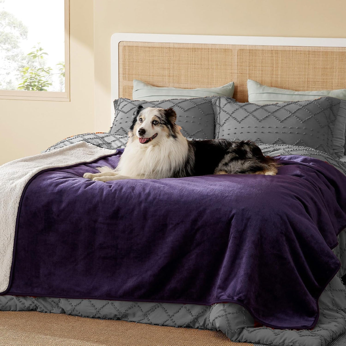 Waterproof Dog Blankets for Small Dogs Soft Cat Blanket Warm,25X35 | Washable Plush Sherpa Fleece Puppy Blanket for Couch Protector, Reversible Cozy Calming Throw for Pet Indoor,Grey