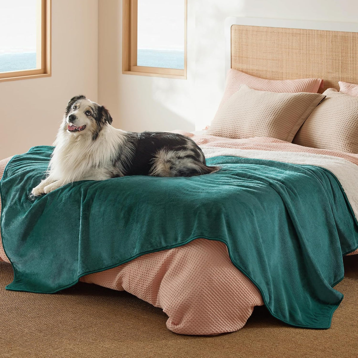 Waterproof Dog Blankets for Small Dogs Soft Cat Blanket Warm,25X35 | Washable Plush Sherpa Fleece Puppy Blanket for Couch Protector, Reversible Cozy Calming Throw for Pet Indoor,Grey