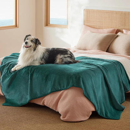 Waterproof Dog Blankets for Small Dogs Soft Cat Blanket Warm,25X35 | Washable Plush Sherpa Fleece Puppy Blanket for Couch Protector, Reversible Cozy Calming Throw for Pet Indoor,Grey