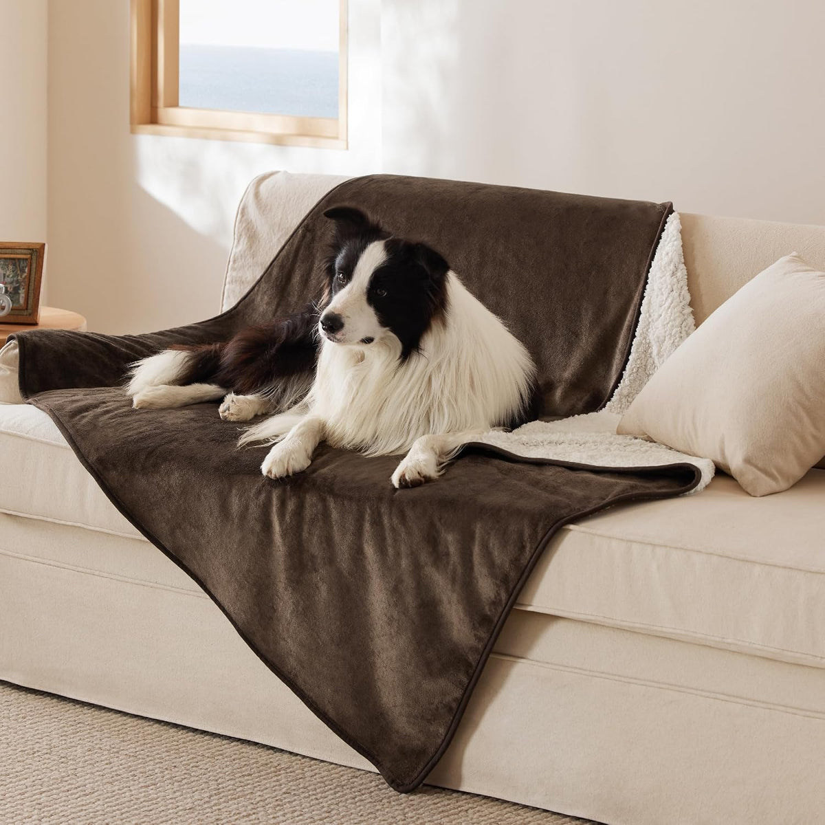 Waterproof Dog Blankets for Small Dogs Soft Cat Blanket Warm,25X35 | Washable Plush Sherpa Fleece Puppy Blanket for Couch Protector, Reversible Cozy Calming Throw for Pet Indoor,Grey