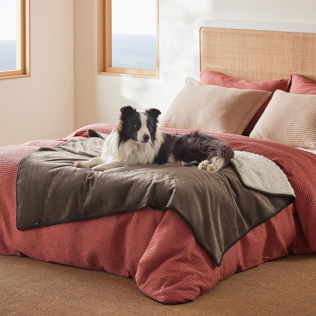 Waterproof Dog Blankets for Small Dogs Soft Cat Blanket Warm,25X35 | Washable Plush Sherpa Fleece Puppy Blanket for Couch Protector, Reversible Cozy Calming Throw for Pet Indoor,Grey