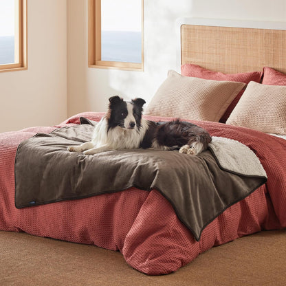 Waterproof Dog Blankets for Small Dogs Soft Cat Blanket Warm,25X35 | Washable Plush Sherpa Fleece Puppy Blanket for Couch Protector, Reversible Cozy Calming Throw for Pet Indoor,Grey