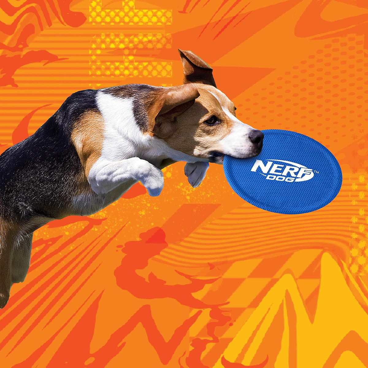 Nerf Dog Nylon Flyer Dog Toy, Flying Disc, Lightweight, Durable and Water Resistant, Great for Beach and Pool, 9 inch diameter, for Medium/Large Breeds, Single Unit, Red