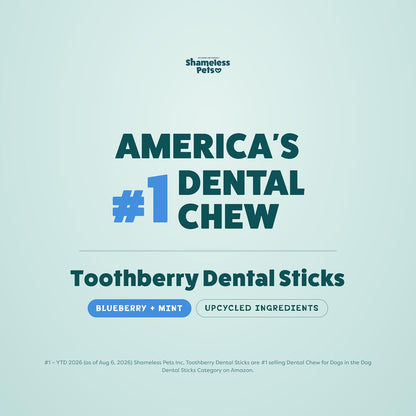 Blueberry & Mint Dental Chews for Dogs, 8 Chews