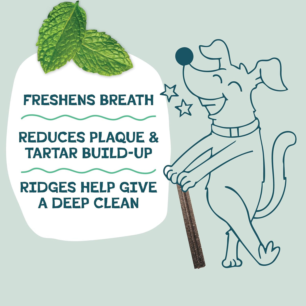 Blueberry & Mint Dental Chews for Dogs, 8 Chews