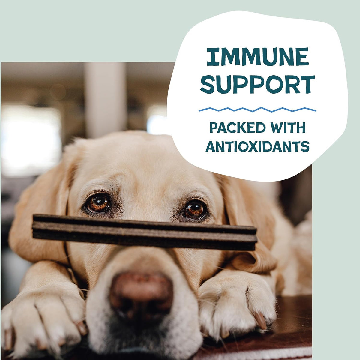 Blueberry & Mint Dental Chews for Dogs, 8 Chews