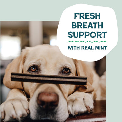 Blueberry & Mint Dental Chews for Dogs, 8 Chews