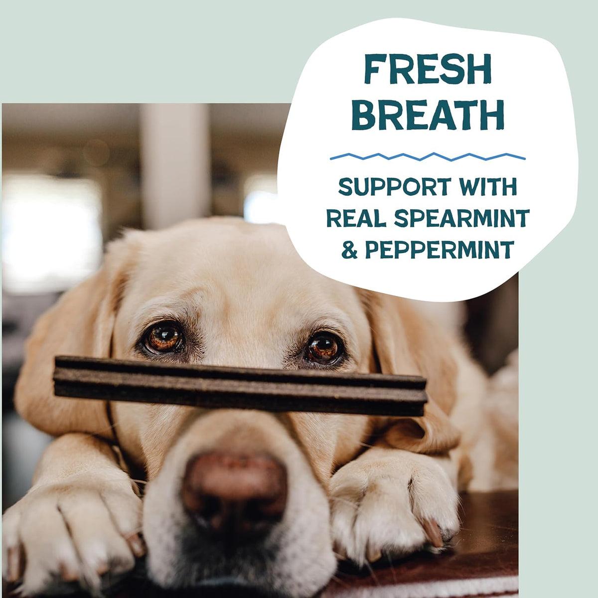 Blueberry & Mint Dental Chews for Dogs, 8 Chews