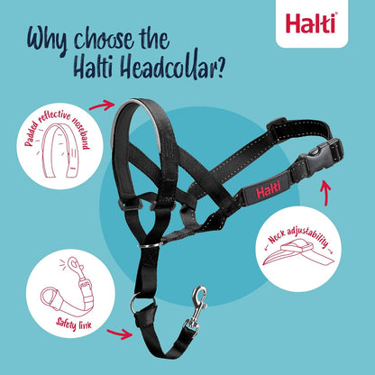 Headcollar | Size 3, Black | Training Collar for Medium Dogs
