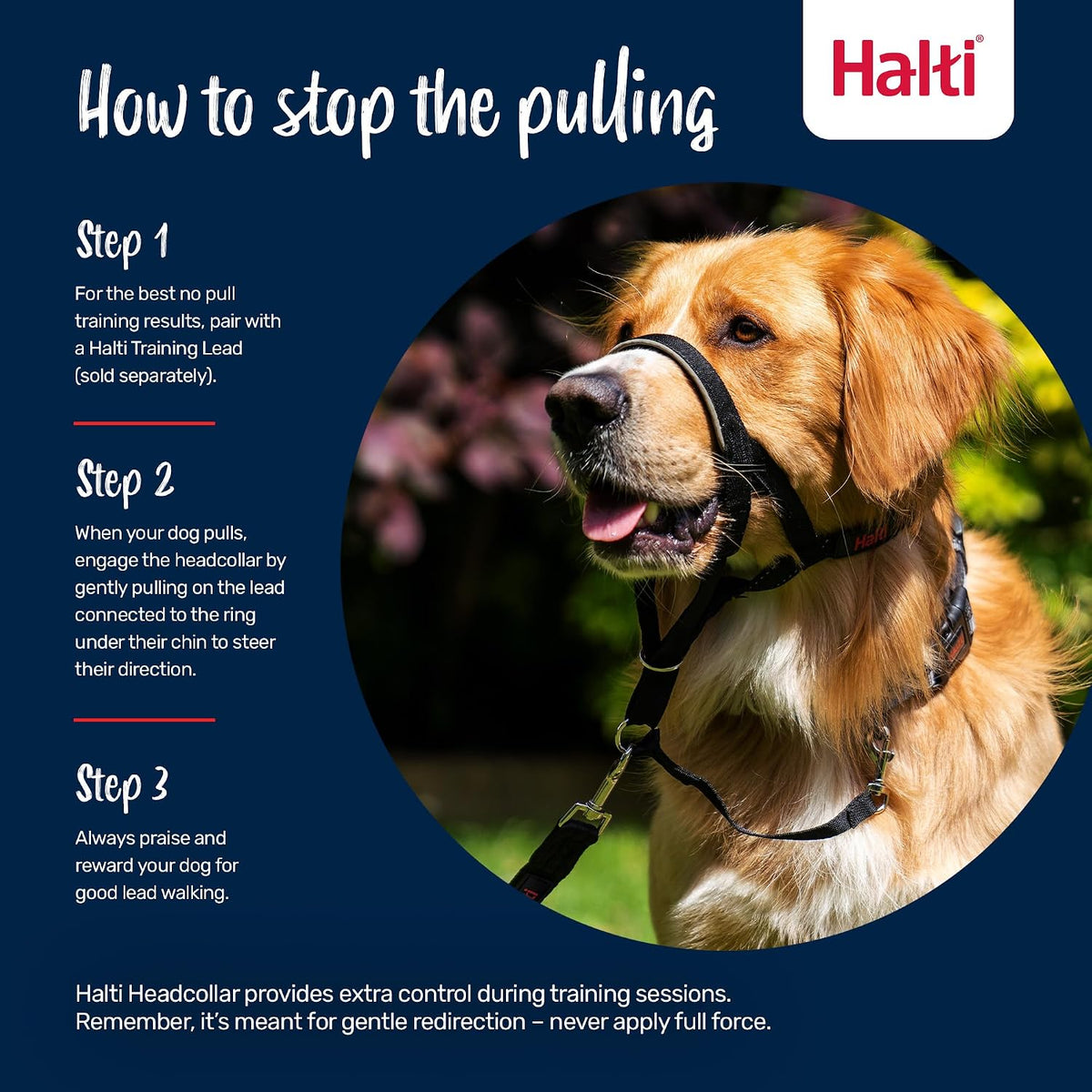 Headcollar | Size 3, Black | Training Collar for Medium Dogs