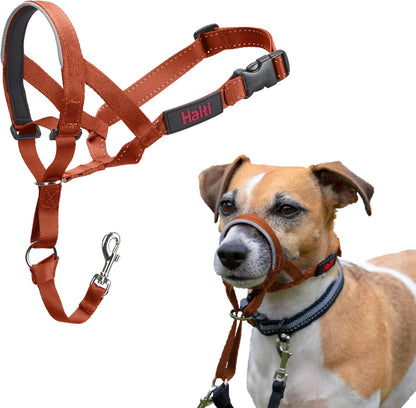 Headcollar | Size 3, Black | Training Collar for Medium Dogs