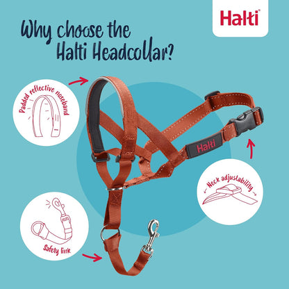 Headcollar | Size 3, Black | Training Collar for Medium Dogs
