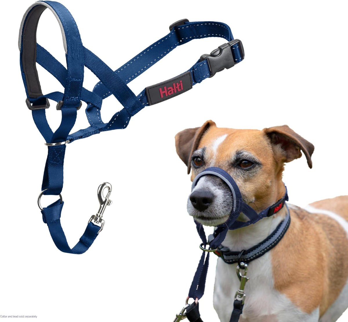 Headcollar | Size 3, Black | Training Collar for Medium Dogs