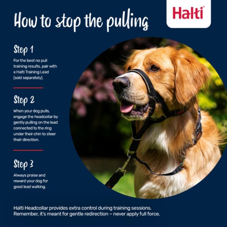 Headcollar | Size 3, Black | Training Collar for Medium Dogs