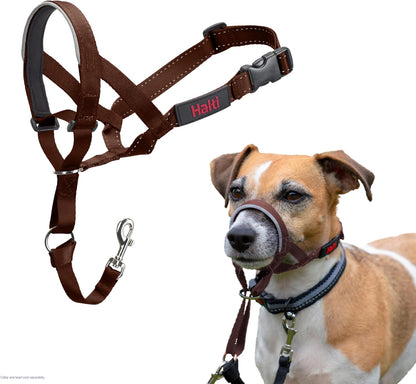 Headcollar | Size 3, Black | Training Collar for Medium Dogs