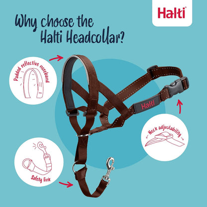 Headcollar | Size 3, Black | Training Collar for Medium Dogs