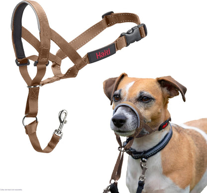 Headcollar | Size 3, Black | Training Collar for Medium Dogs
