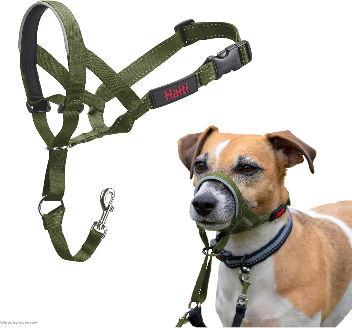 Headcollar | Size 3, Black | Training Collar for Medium Dogs