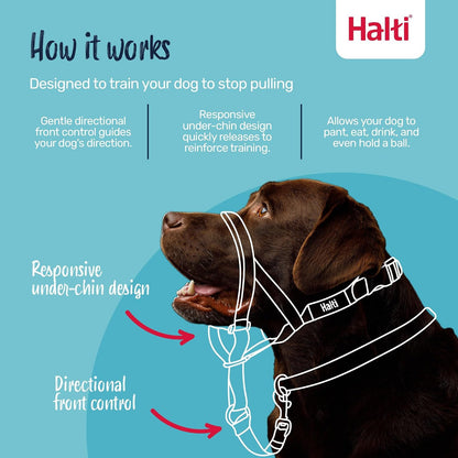 Headcollar | Size 3, Black | Training Collar for Medium Dogs