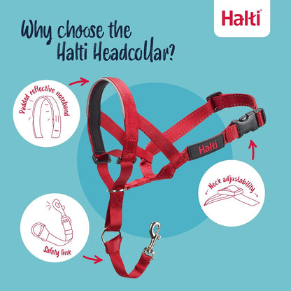Headcollar | Size 3, Black | Training Collar for Medium Dogs
