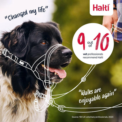 Headcollar | Size 3, Black | Training Collar for Medium Dogs