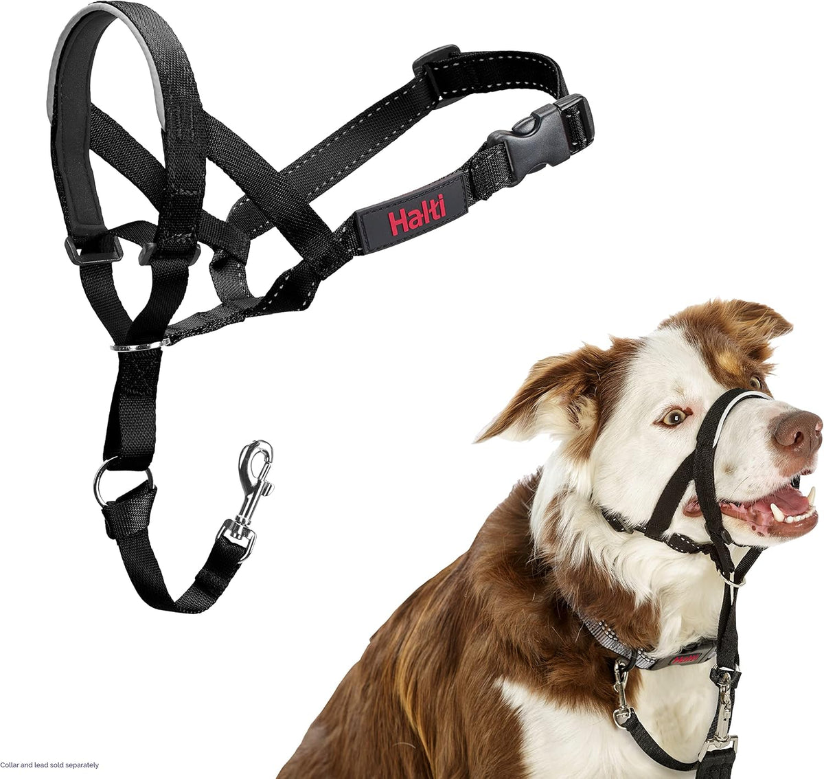 Headcollar | Size 3, Black | Training Collar for Medium Dogs