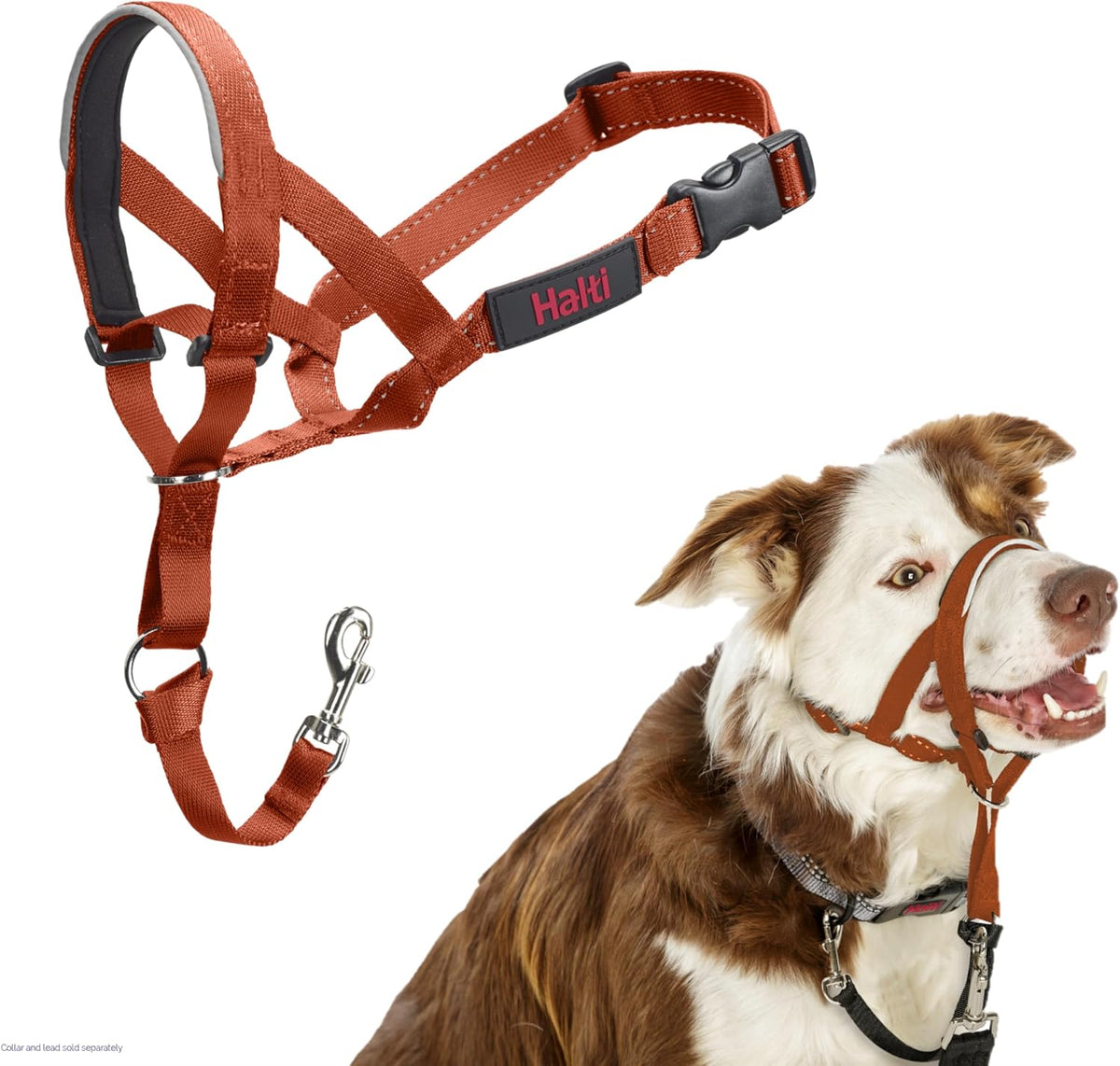 Headcollar | Size 3, Black | Training Collar for Medium Dogs