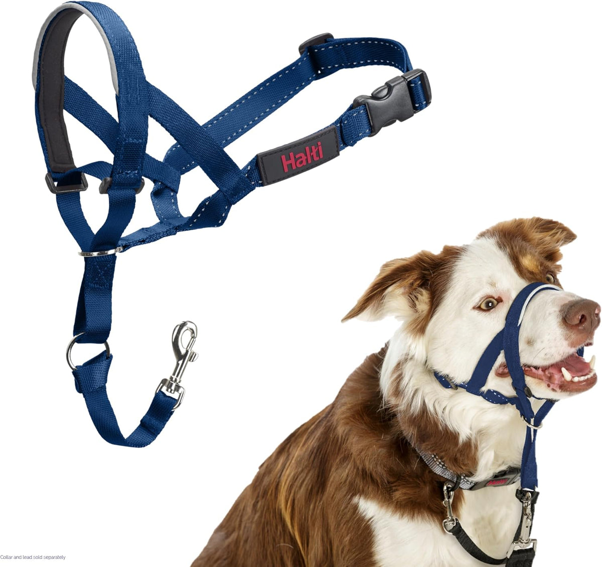 Headcollar | Size 3, Black | Training Collar for Medium Dogs
