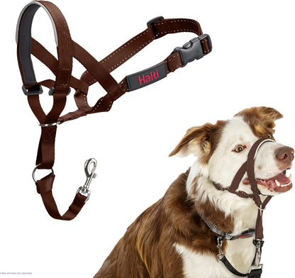 Headcollar | Size 3, Black | Training Collar for Medium Dogs