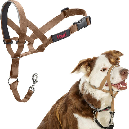 Headcollar | Size 3, Black | Training Collar for Medium Dogs