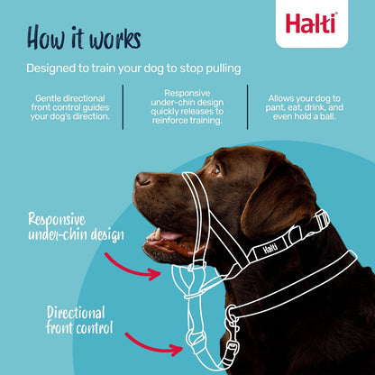 Headcollar | Size 3, Black | Training Collar for Medium Dogs
