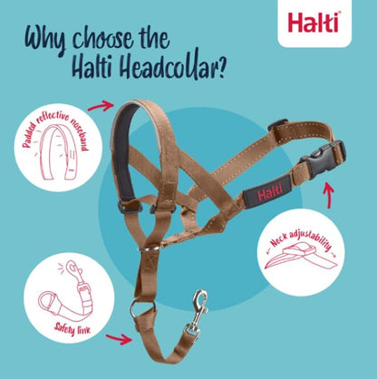 Headcollar | Size 3, Black | Training Collar for Medium Dogs