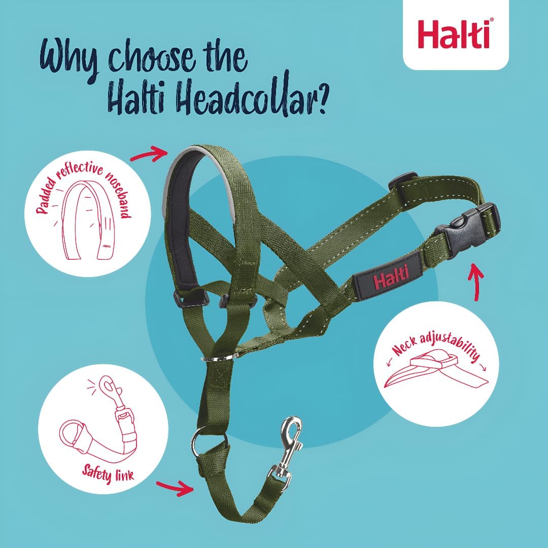 Headcollar | Size 3, Black | Training Collar for Medium Dogs