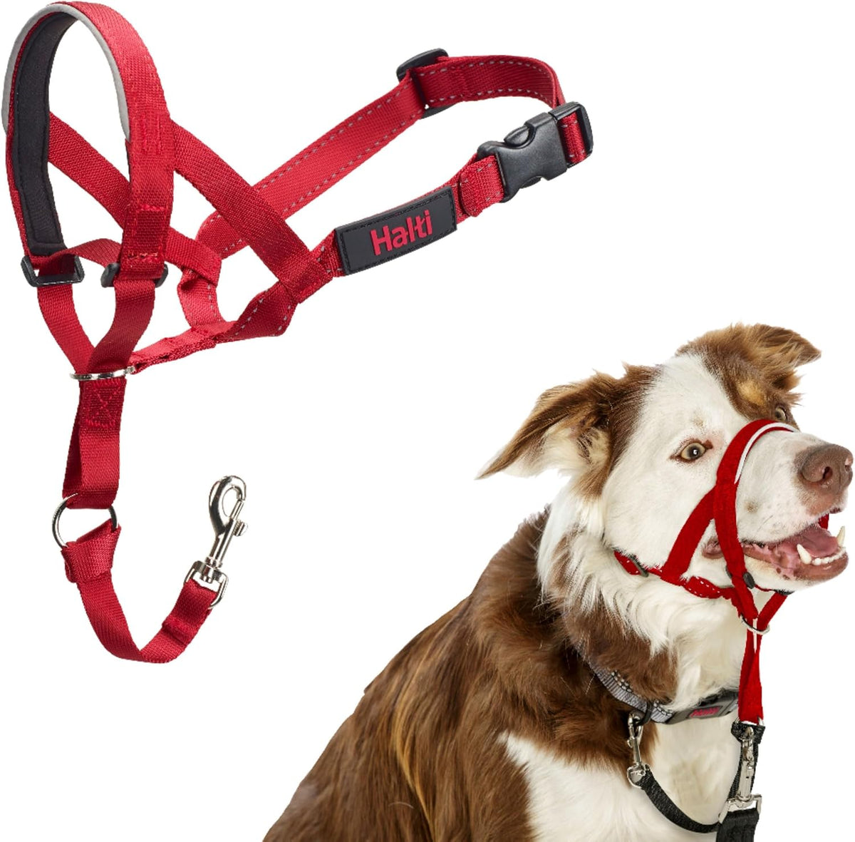 Headcollar | Size 3, Black | Training Collar for Medium Dogs