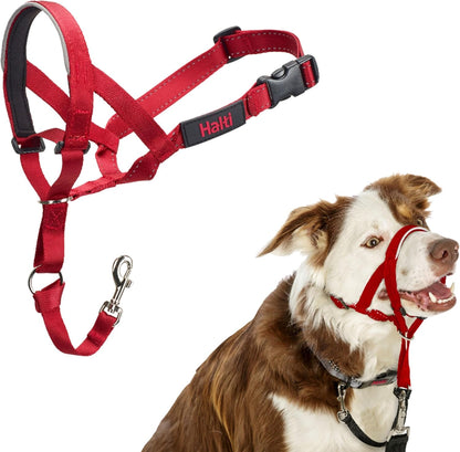 Headcollar | Size 3, Black | Training Collar for Medium Dogs