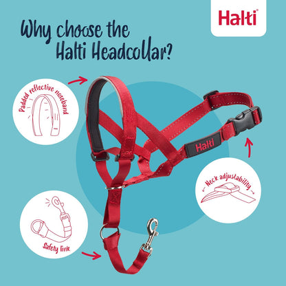 Headcollar | Size 3, Black | Training Collar for Medium Dogs
