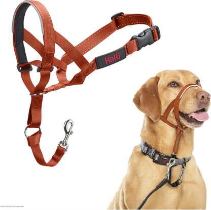 Headcollar | Size 3, Black | Training Collar for Medium Dogs