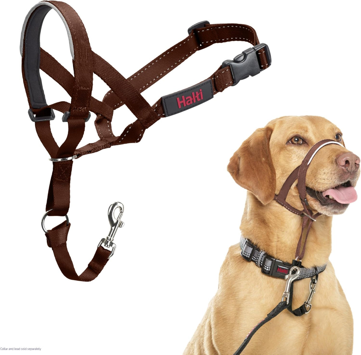 Headcollar | Size 3, Black | Training Collar for Medium Dogs