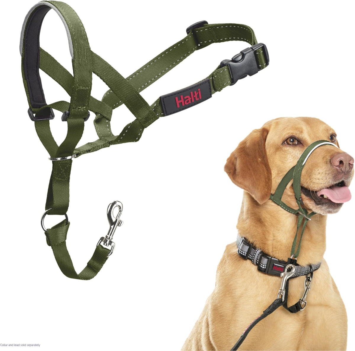 Headcollar | Size 3, Black | Training Collar for Medium Dogs