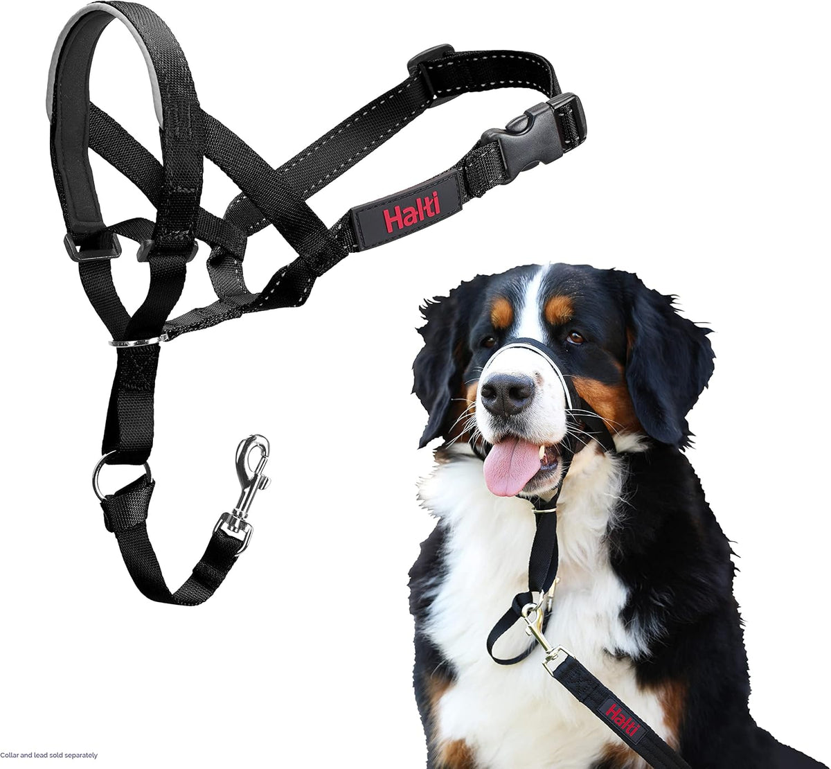 Headcollar | Size 3, Black | Training Collar for Medium Dogs