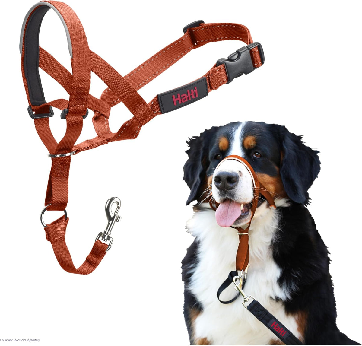 Headcollar | Size 3, Black | Training Collar for Medium Dogs