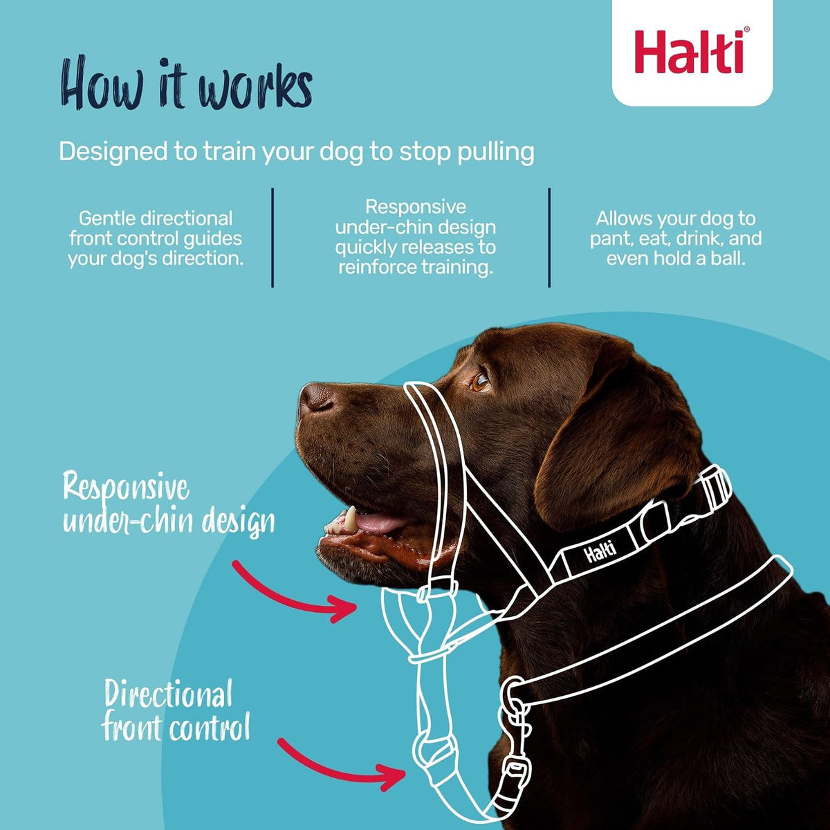 Headcollar | Size 3, Black | Training Collar for Medium Dogs